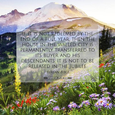 Picture 07 - Leviticus 25:30 BSB - If it is not redeemed by the end of a full year, - Bible Verse Picture