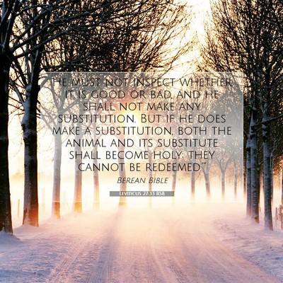 Picture 07 - Leviticus 27:33 BSB - He must not inspect whether it is good or bad, - Bible Verse Picture