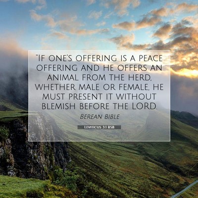 Picture 07 - Leviticus 3:1 BSB - “If one’s offering is a peace offering and he - Bible Verse Picture