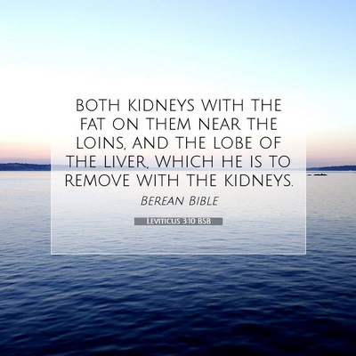 Picture 07 - Leviticus 3:10 BSB - both kidneys with the fat on them near the loins, - Bible Verse Picture