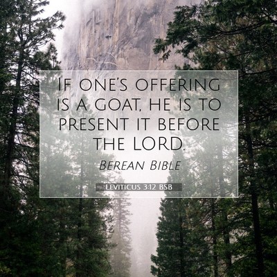 Picture 07 - Leviticus 3:12 BSB - If one’s offering is a goat, he is to present - Bible Verse Picture