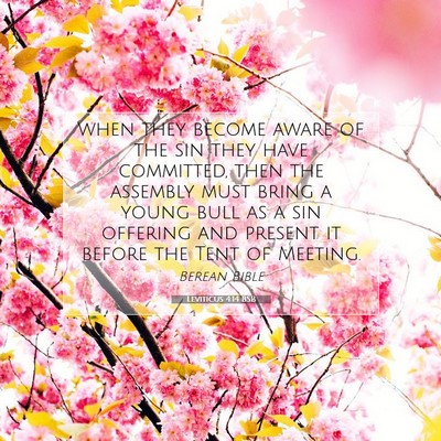 Picture 07 - Leviticus 4:14 BSB - when they become aware of the sin they have - Bible Verse Picture