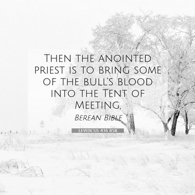 Picture 07 - Leviticus 4:16 BSB - Then the anointed priest is to bring some of the - Bible Verse Picture
