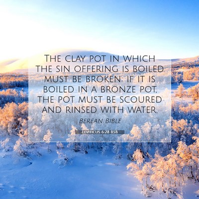 Picture 07 - Leviticus 6:28 BSB - The clay pot in which the sin offering is boiled - Bible Verse Picture
