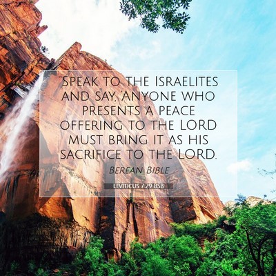 Picture 07 - Leviticus 7:29 BSB - “Speak to the Israelites and say, ‘Anyone who - Bible Verse Picture