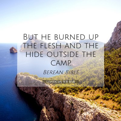 Picture 07 - Leviticus 9:11 BSB - But he burned up the flesh and the hide outside - Bible Verse Picture
