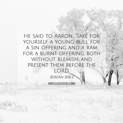 Picture 07 - Leviticus 9:2 BSB - He said to Aaron, “Take for yourself a young - Bible Verse Picture