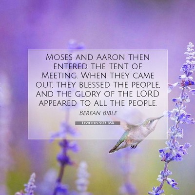 Picture 07 - Leviticus 9:23 BSB - Moses and Aaron then entered the Tent of Meeting. - Bible Verse Picture