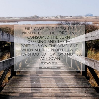Picture 07 - Leviticus 9:24 BSB - Fire came out from the presence of the LORD and - Bible Verse Picture