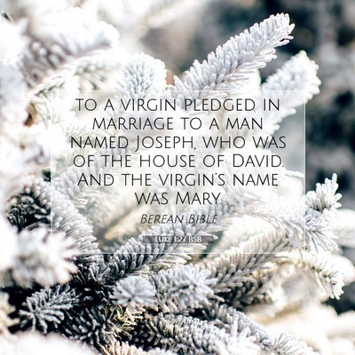 Picture 07 - Luke 1:27 BSB - to a virgin pledged in marriage to a man named - Bible Verse Picture