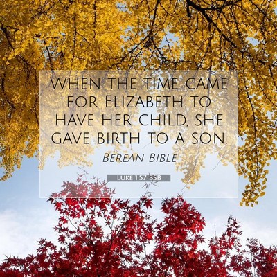 Picture 07 - Luke 1:57 BSB - When the time came for Elizabeth to have her - Bible Verse Picture