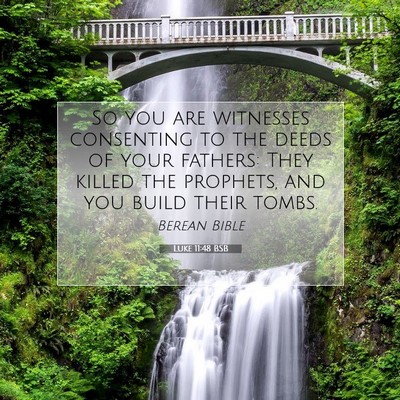 Picture 07 - Luke 11:48 BSB - So you are witnesses consenting to the deeds of - Bible Verse Picture