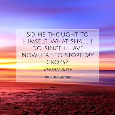 Picture 07 - Luke 12:17 BSB - So he thought to himself, ‘What shall I do, - Bible Verse Picture