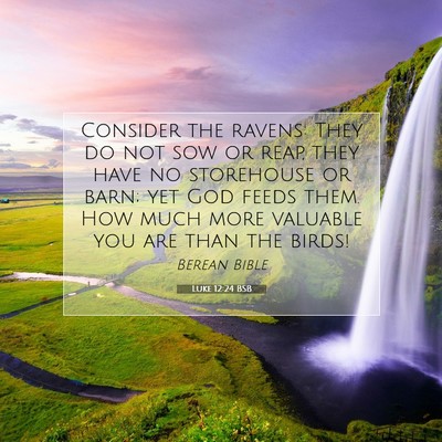 Picture 07 - Luke 12:24 BSB - Consider the ravens: They do not sow or reap, - Bible Verse Picture