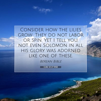 Picture 07 - Luke 12:27 BSB - Consider how the lilies grow: They do not labor - Bible Verse Picture