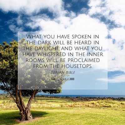 Picture 07 - Luke 12:3 BSB - What you have spoken in the dark will be heard in - Bible Verse Picture