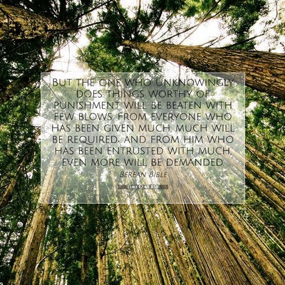 Picture 07 - Luke 12:48 BSB - But the one who unknowingly does things worthy of - Bible Verse Picture