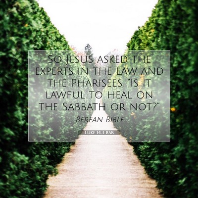 Picture 07 - Luke 14:3 BSB - So Jesus asked the experts in the law and the - Bible Verse Picture