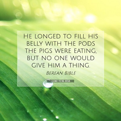 Picture 07 - Luke 15:16 BSB - He longed to fill his belly with the pods the - Bible Verse Picture