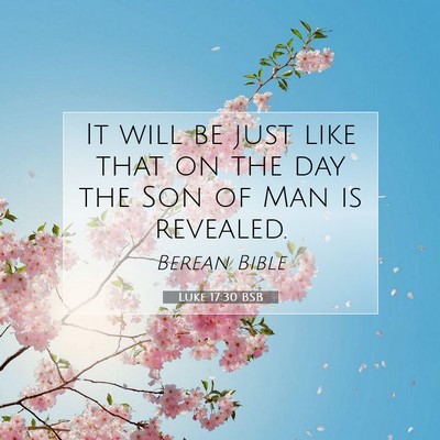 Picture 07 - Luke 17:30 BSB - It will be just like that on the day the Son of - Bible Verse Picture