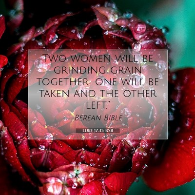 Picture 07 - Luke 17:35 BSB - Two women will be grinding grain together: one - Bible Verse Picture