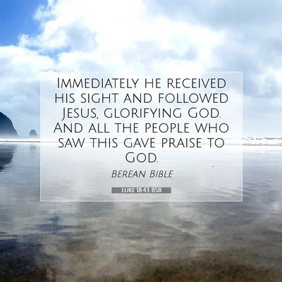 Picture 07 - Luke 18:43 BSB - Immediately he received his sight and followed - Bible Verse Picture