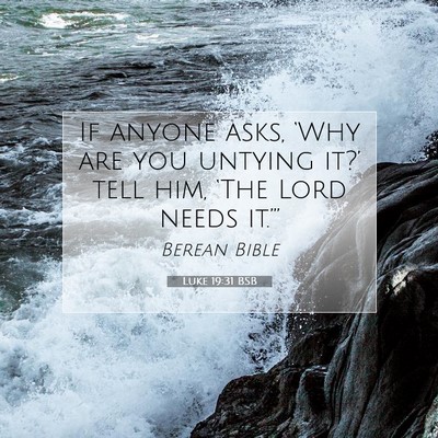 Picture 07 - Luke 19:31 BSB - If anyone asks, ‘Why are you untying it?’ - Bible Verse Picture