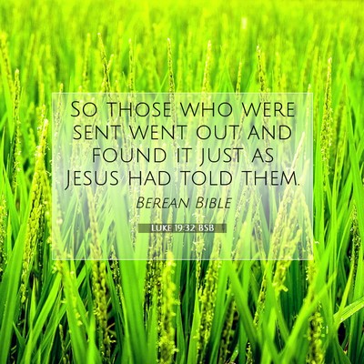 Picture 07 - Luke 19:32 BSB - So those who were sent went out and found it just - Bible Verse Picture