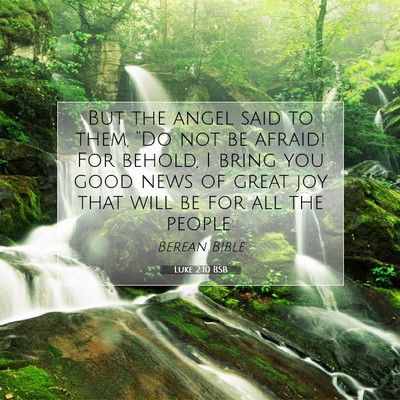Picture 07 - Luke 2:10 BSB - But the angel said to them, “Do not be afraid! - Bible Verse Picture