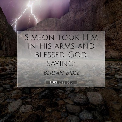 Picture 07 - Luke 2:28 BSB - Simeon took Him in his arms and blessed God, - Bible Verse Picture