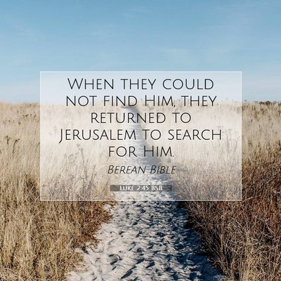 Picture 07 - Luke 2:45 BSB - When they could not find Him, they returned to - Bible Verse Picture