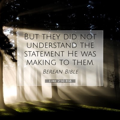 Picture 07 - Luke 2:50 BSB - But they did not understand the statement He was - Bible Verse Picture