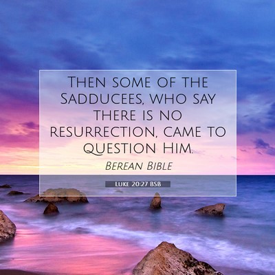 Picture 07 - Luke 20:27 BSB - Then some of the Sadducees, who say there is no - Bible Verse Picture