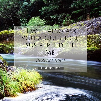 Picture 07 - Luke 20:3 BSB - “I will also ask you a question,” Jesus - Bible Verse Picture