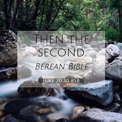 Picture 07 - Luke 20:30 BSB - Then the - Bible Verse Picture
