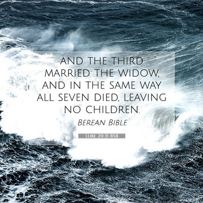 Picture 07 - Luke 20:31 BSB - and the third married the widow, and in the same - Bible Verse Picture