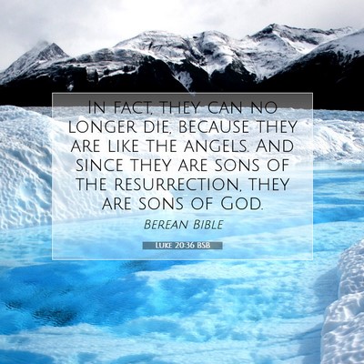 Picture 07 - Luke 20:36 BSB - In fact, they can no longer die, because they are - Bible Verse Picture