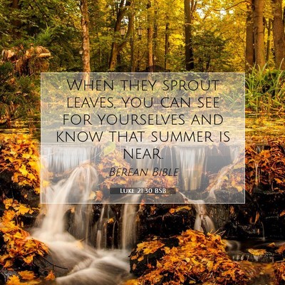 Picture 07 - Luke 21:30 BSB - When they sprout leaves, you can see for - Bible Verse Picture