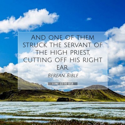 Picture 07 - Luke 22:50 BSB - And one of them struck the servant of the high - Bible Verse Picture