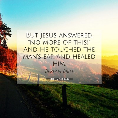 Picture 07 - Luke 22:51 BSB - But Jesus answered, “No more of this!” And He - Bible Verse Picture