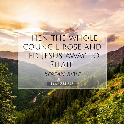 Picture 07 - Luke 23:1 BSB - Then the whole council rose and led Jesus away to - Bible Verse Picture