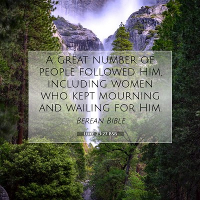 Picture 07 - Luke 23:27 BSB - A great number of people followed Him, including - Bible Verse Picture