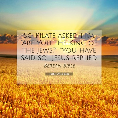 Picture 07 - Luke 23:3 BSB - So Pilate asked Him, “Are You the King of the - Bible Verse Picture