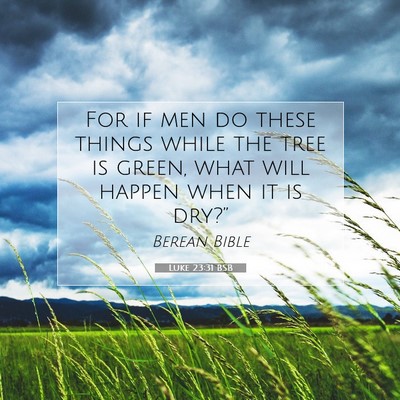 Picture 07 - Luke 23:31 BSB - For if men do these things while the tree is - Bible Verse Picture