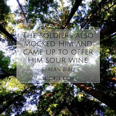 Picture 07 - Luke 23:36 BSB - The soldiers also mocked Him and came up to offer - Bible Verse Picture