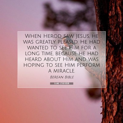Picture 07 - Luke 23:8 BSB - When Herod saw Jesus, he was greatly pleased. He - Bible Verse Picture