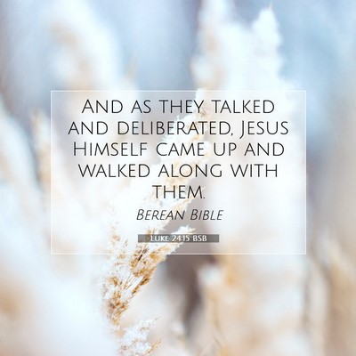 Picture 07 - Luke 24:15 BSB - And as they talked and deliberated, Jesus Himself - Bible Verse Picture