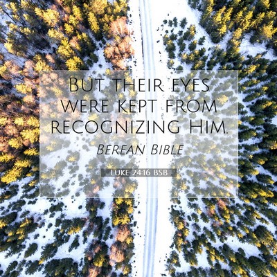 Picture 07 - Luke 24:16 BSB - But their eyes were kept from recognizing - Bible Verse Picture