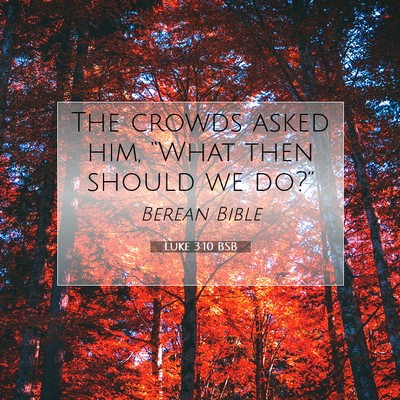 Picture 07 - Luke 3:10 BSB - The crowds asked him, “What then should we - Bible Verse Picture