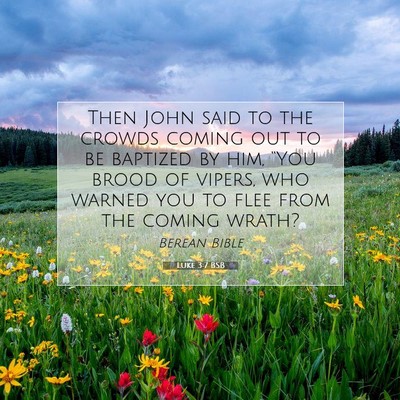 Picture 07 - Luke 3:7 BSB - Then John said to the crowds coming out to be - Bible Verse Picture